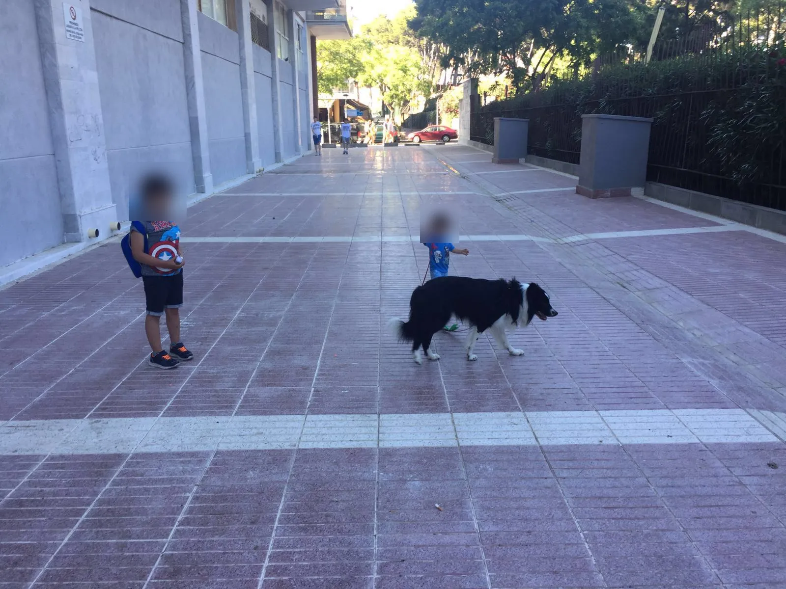Rayo paseando con los niños de la familia