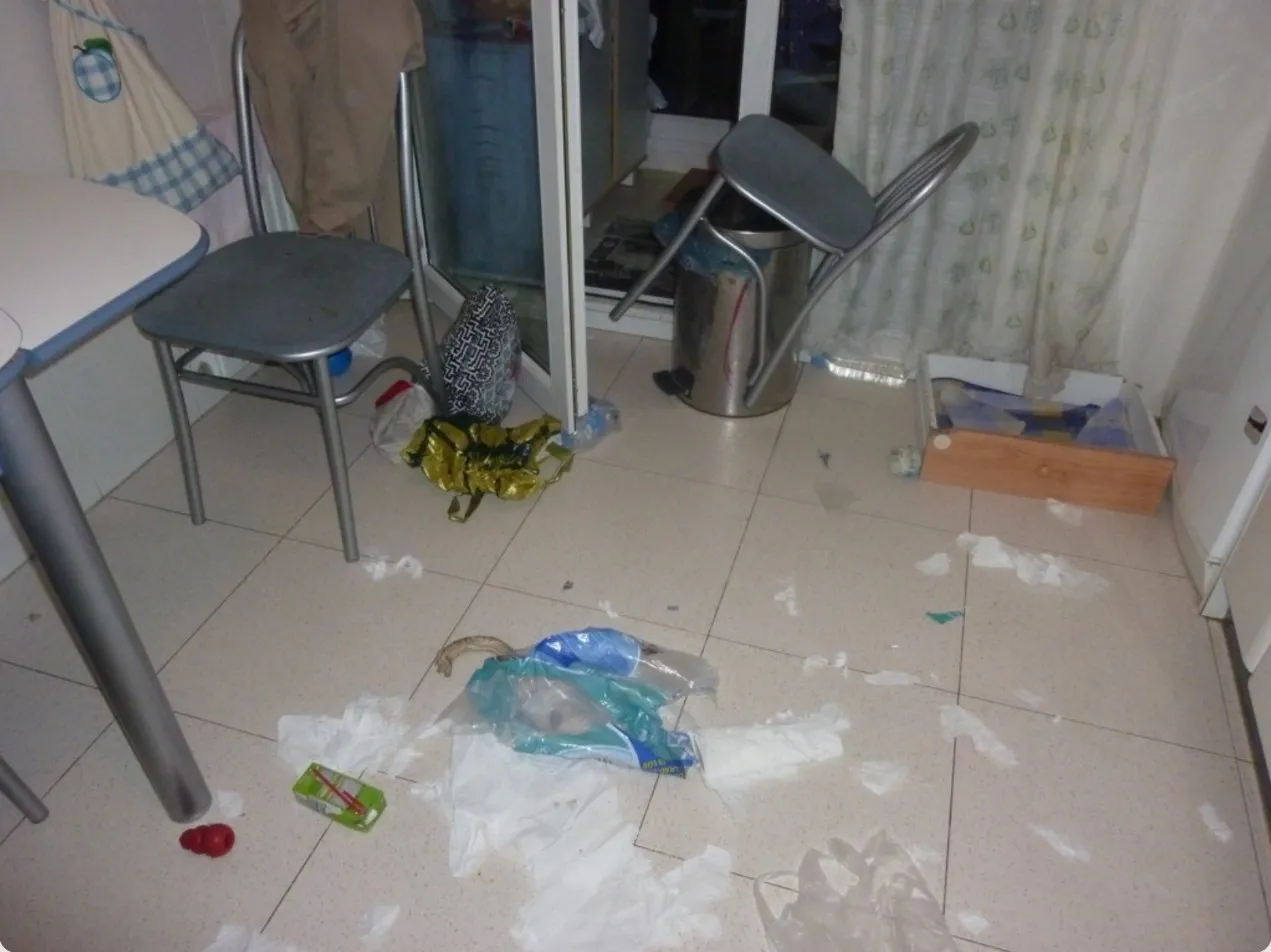 La cocina llena de papeles rotos tras una trastada de Rayo de cachorro